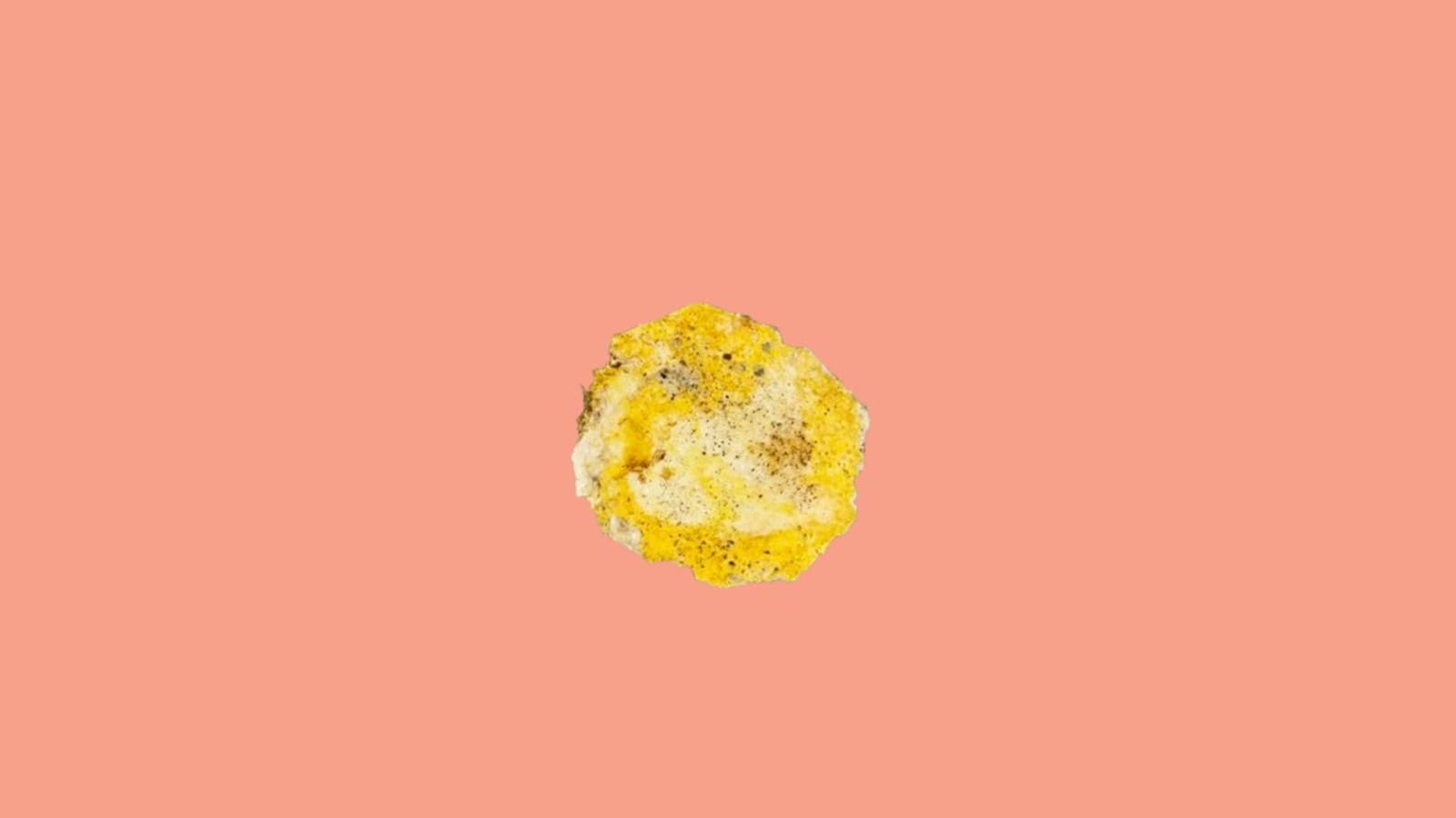 Egg